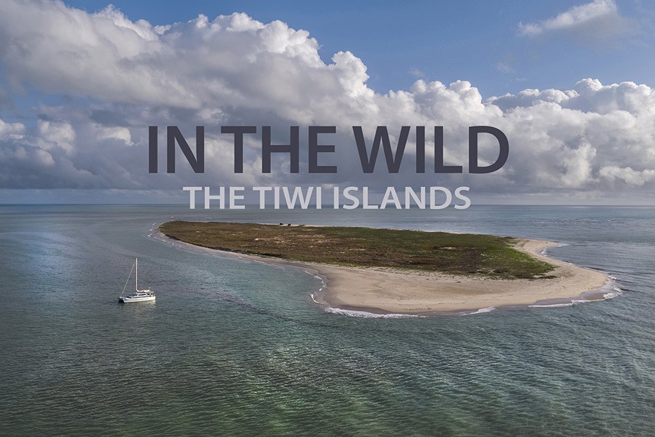 In the wild - Tiwi Islands coast NT
