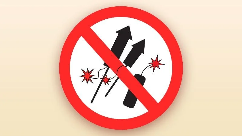 Alexandria Fireworks Laws