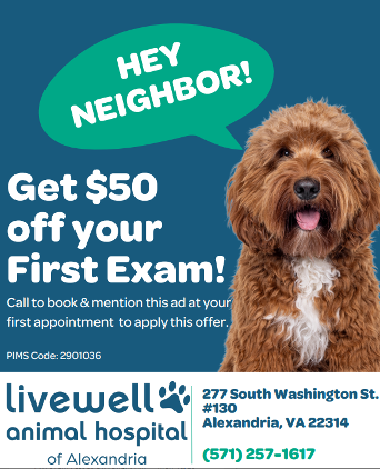 Local Spotlight: Livewell Animal Hospital