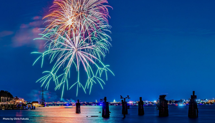 Alexandria &amp; USA Birthday Celebration