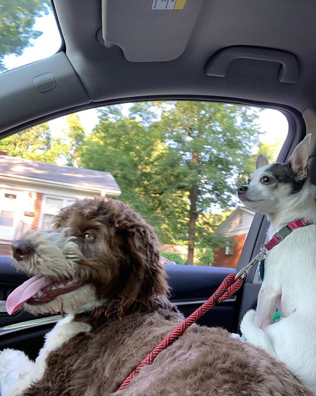 Sunday evening car rides. 💕