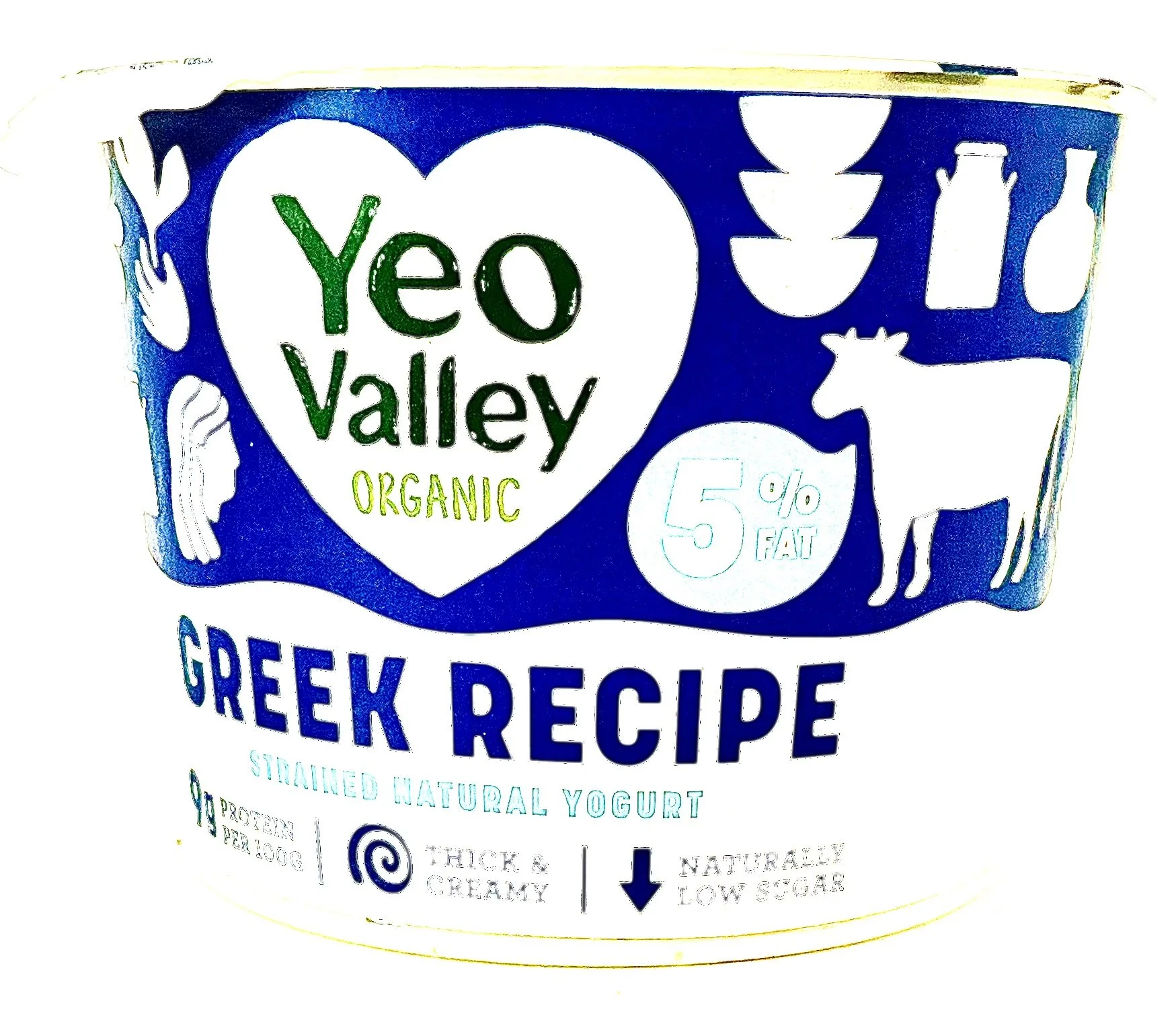 A Quick Guide to Yoghurt