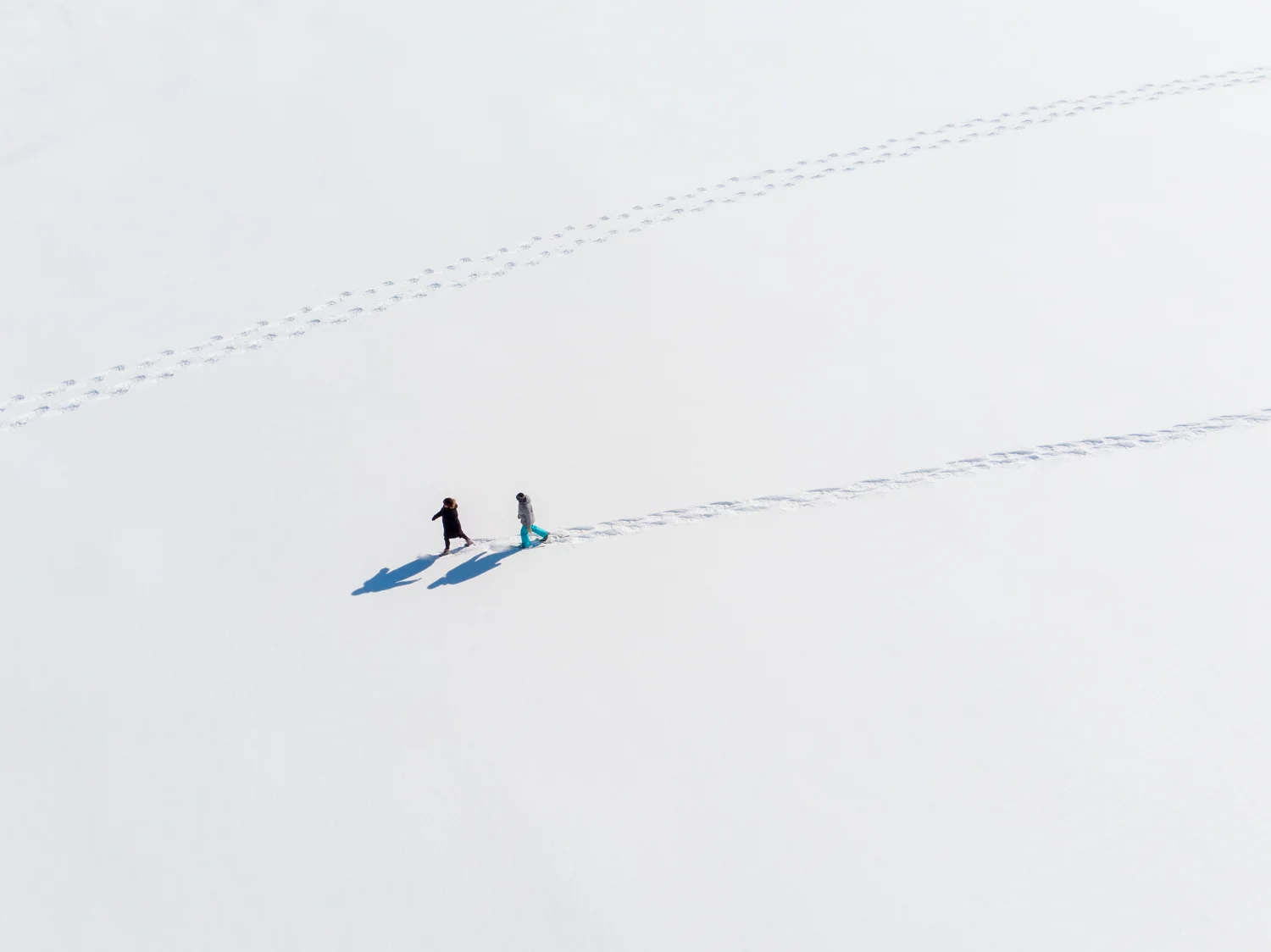 FortWhyte Alive, 2018