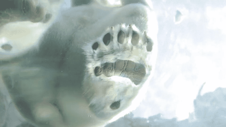 Banner - Preview 2.mp4-high.gif
