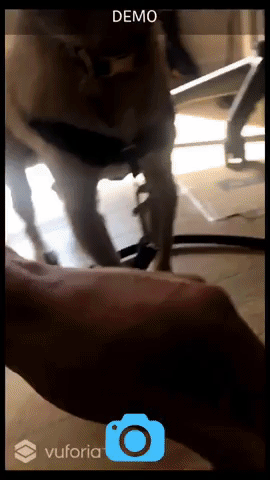 giphy (2).gif