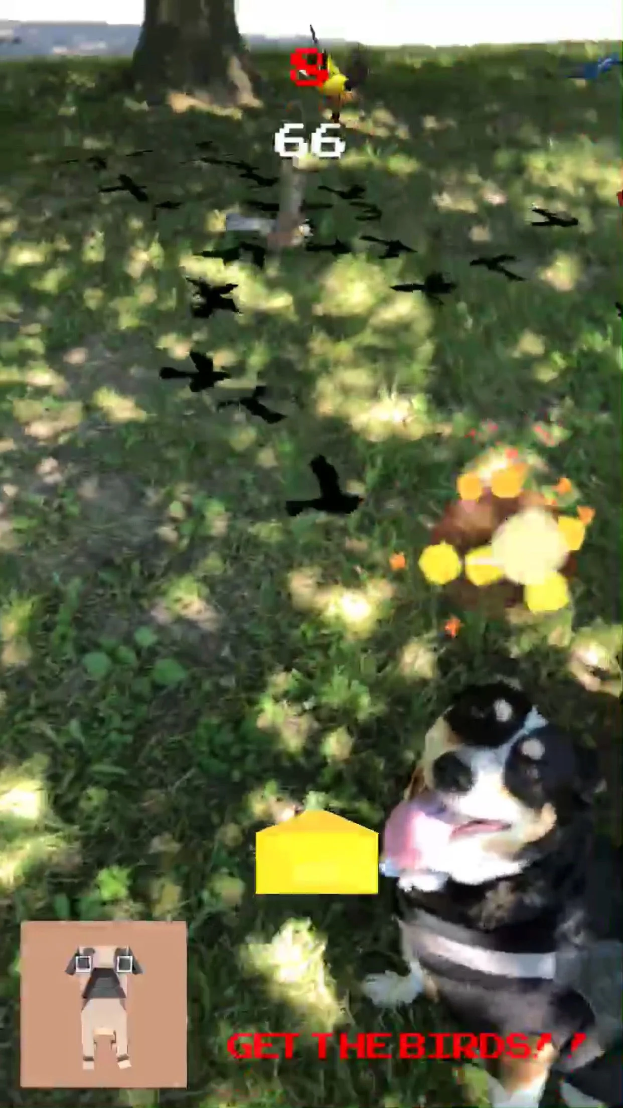 omgbirds2.jpg
