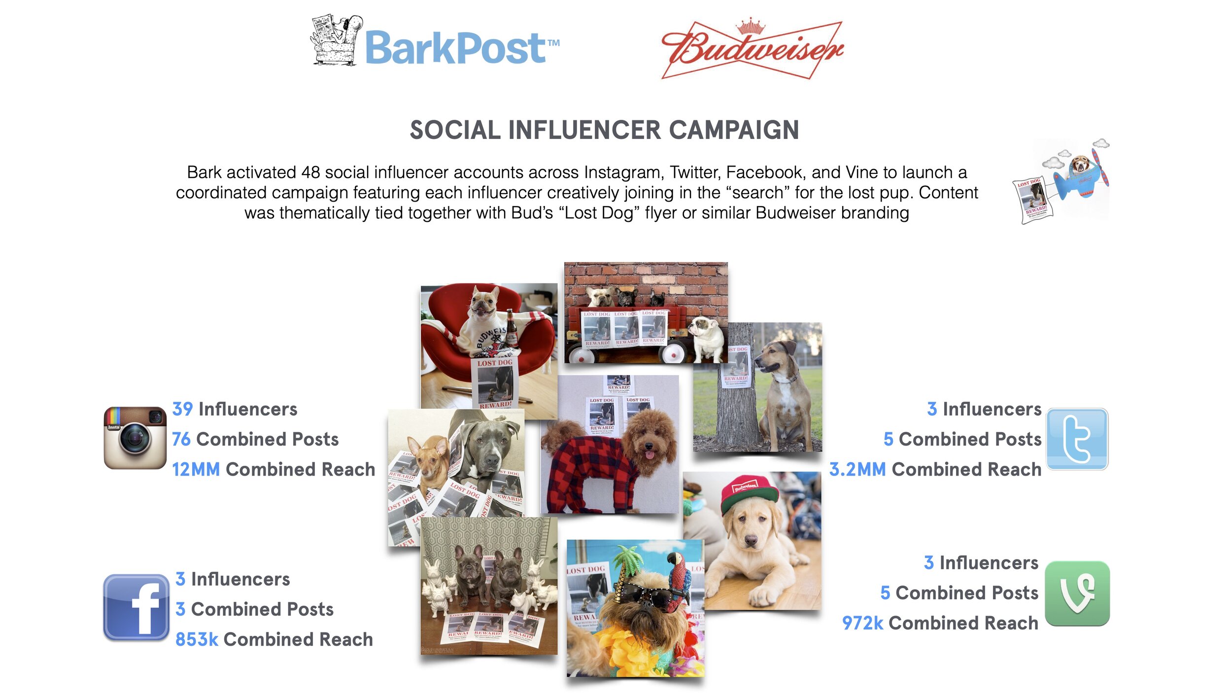 ValiantLowitz_BarkBox_CaseStudies_Branded 2.jpg
