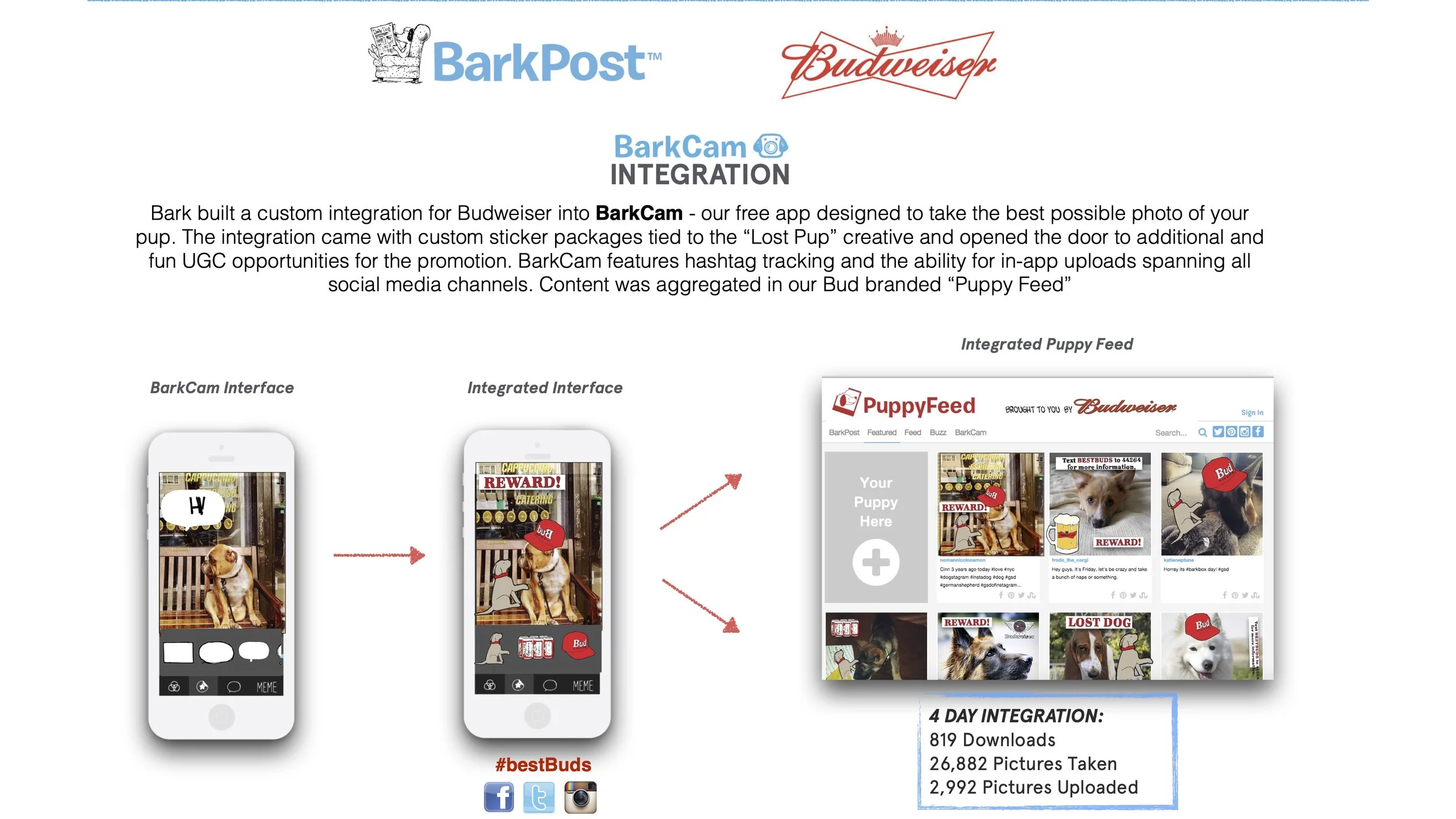 ValiantLowitz_BarkBox_CaseStudies_Branded 3.jpg