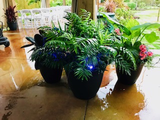 3 pot grouping