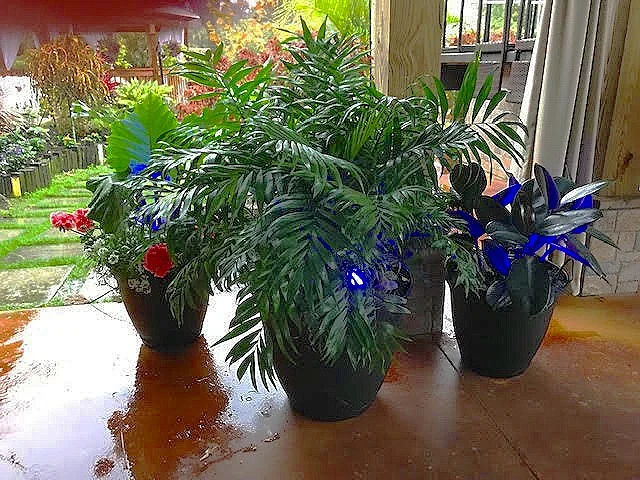 Uplighting in multiple colors