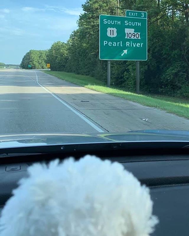 We&rsquo;re back from #pearlsroadtrip! Thank you for traveling with us over 6000 miles!! Last quiz - what state was this Pearl River sign in? 💜 leave your guess down in the comments!