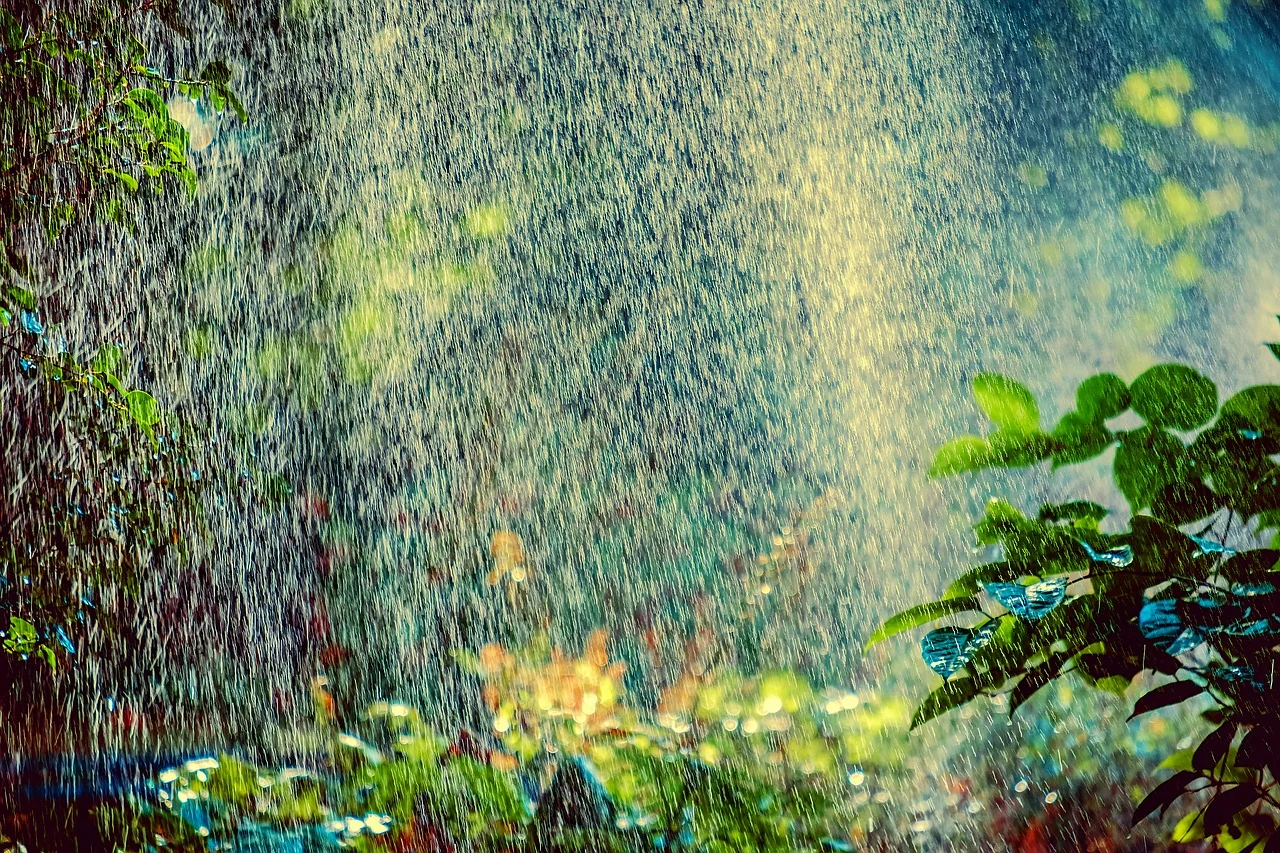 sprinkler-3569233_1280.jpg