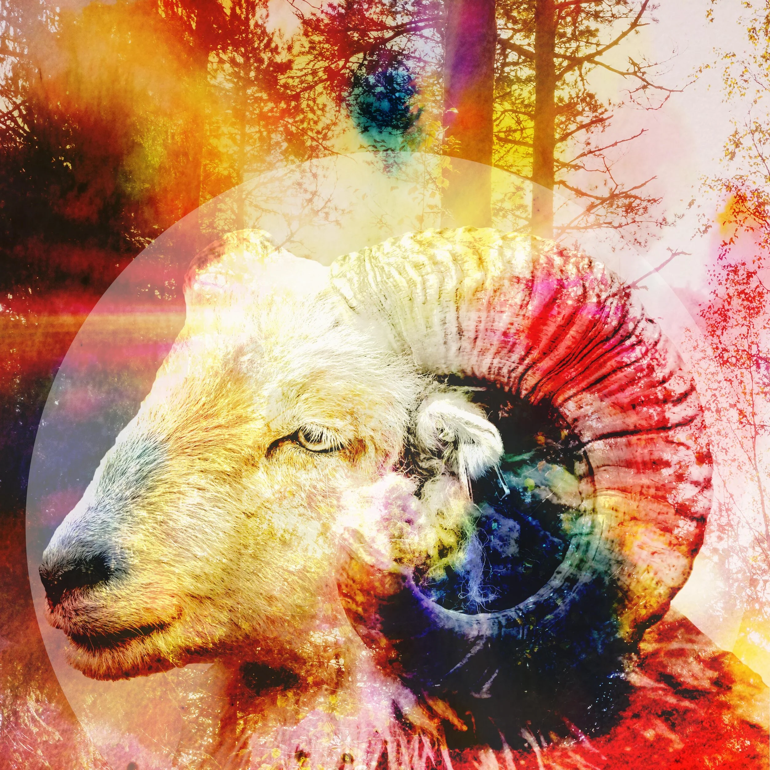 Sun in Aries: Catalytic
