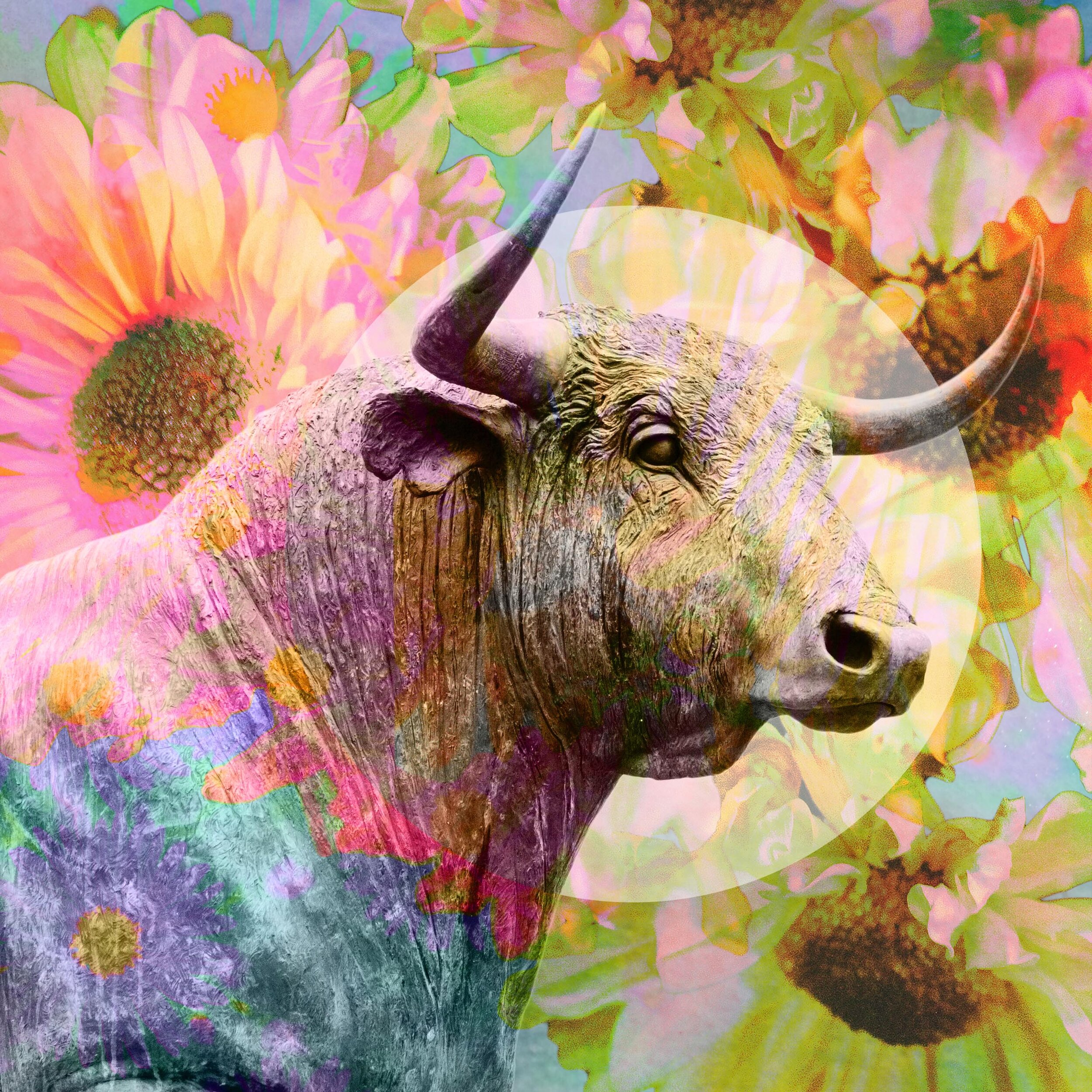 Sun in Taurus: Luxurious