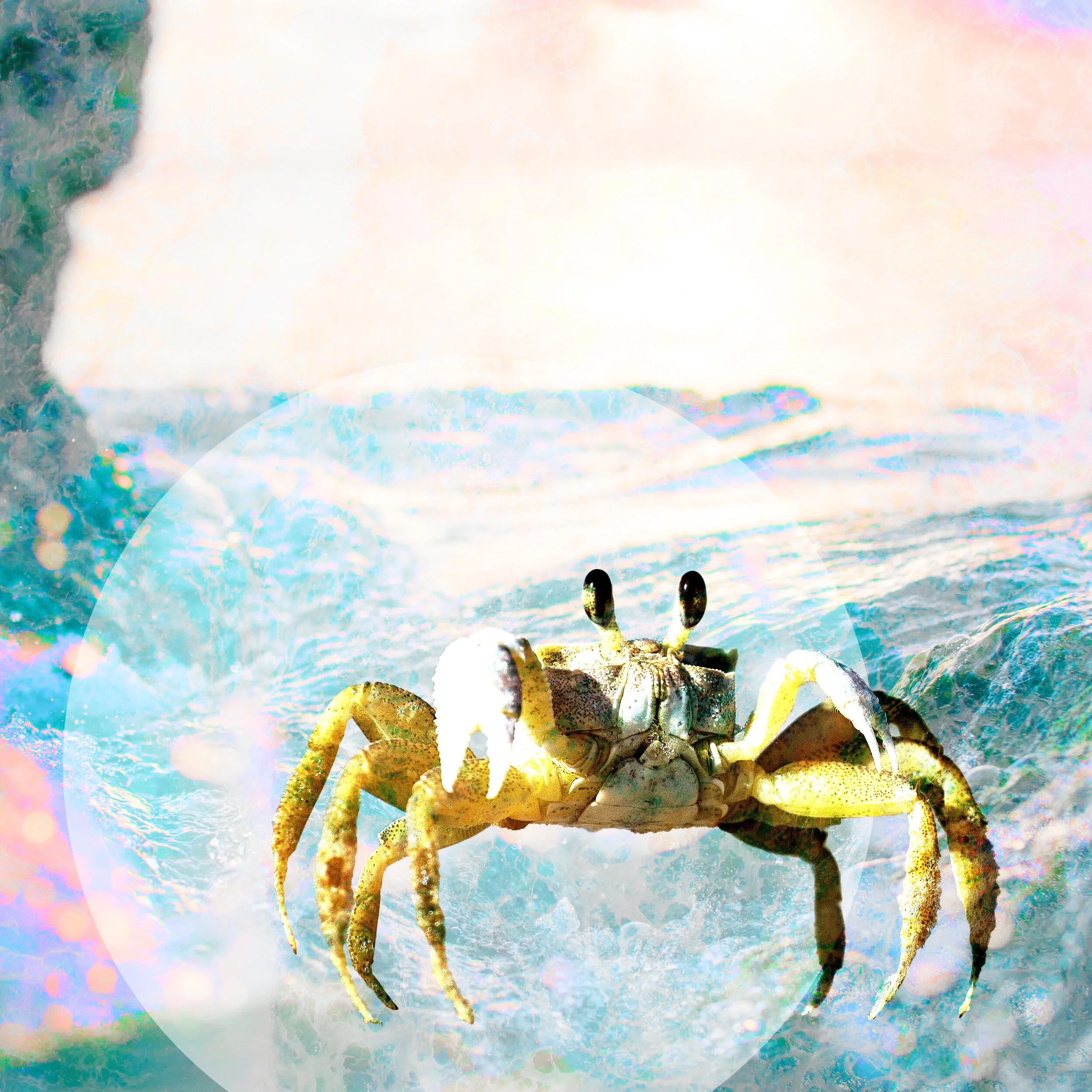 Sun in Cancer: Caring