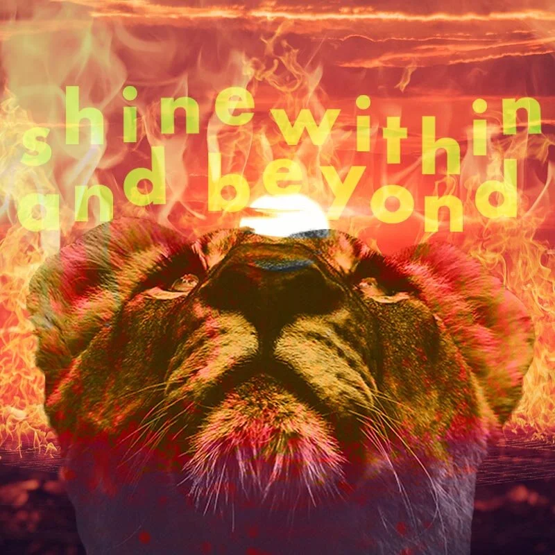 Sun in Leo: Shine