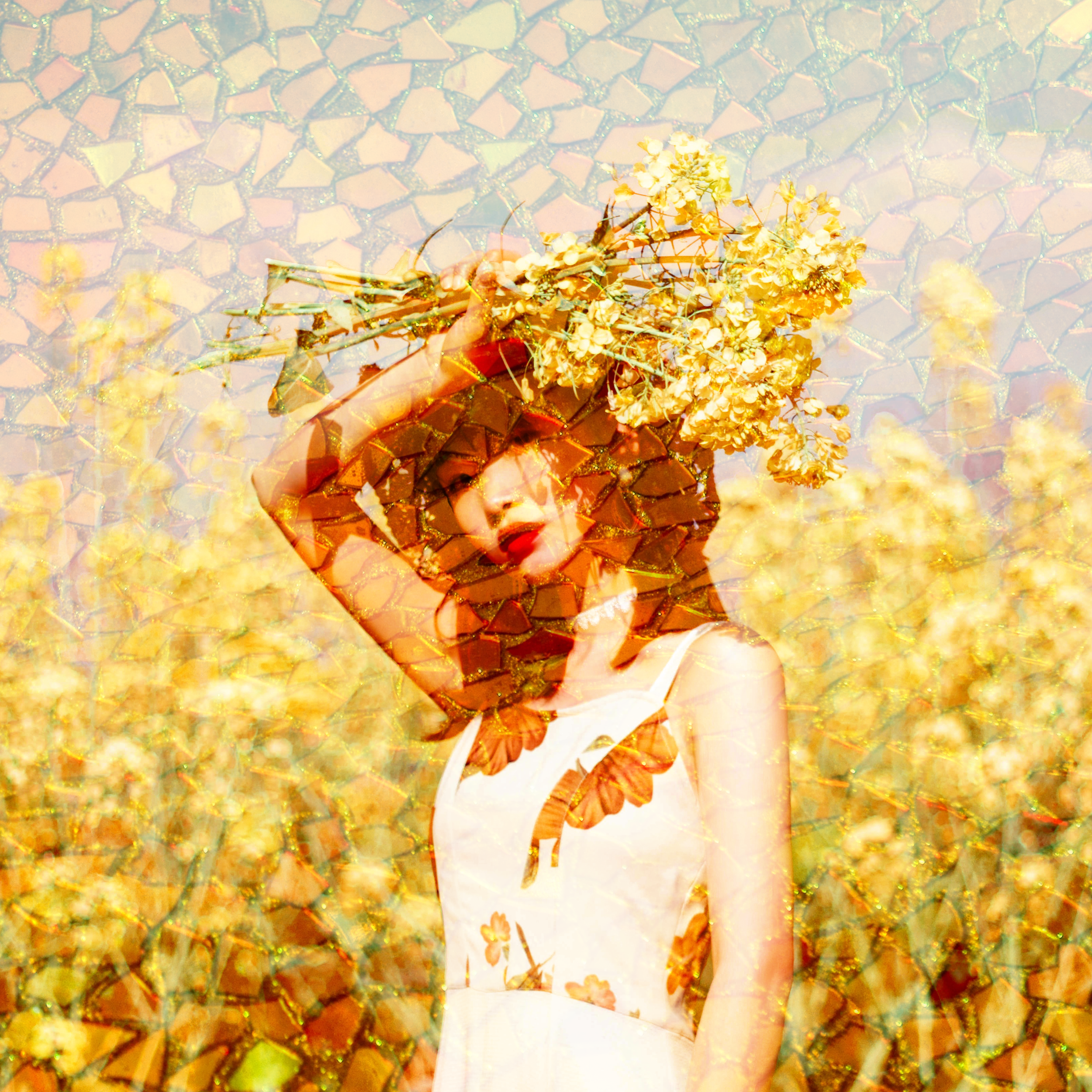 Sun in Virgo: Discernment