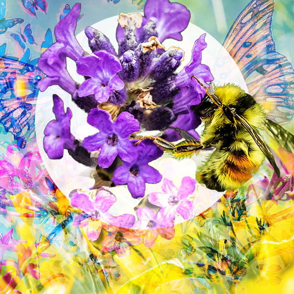 THE MOOD: Pollinating the Profound