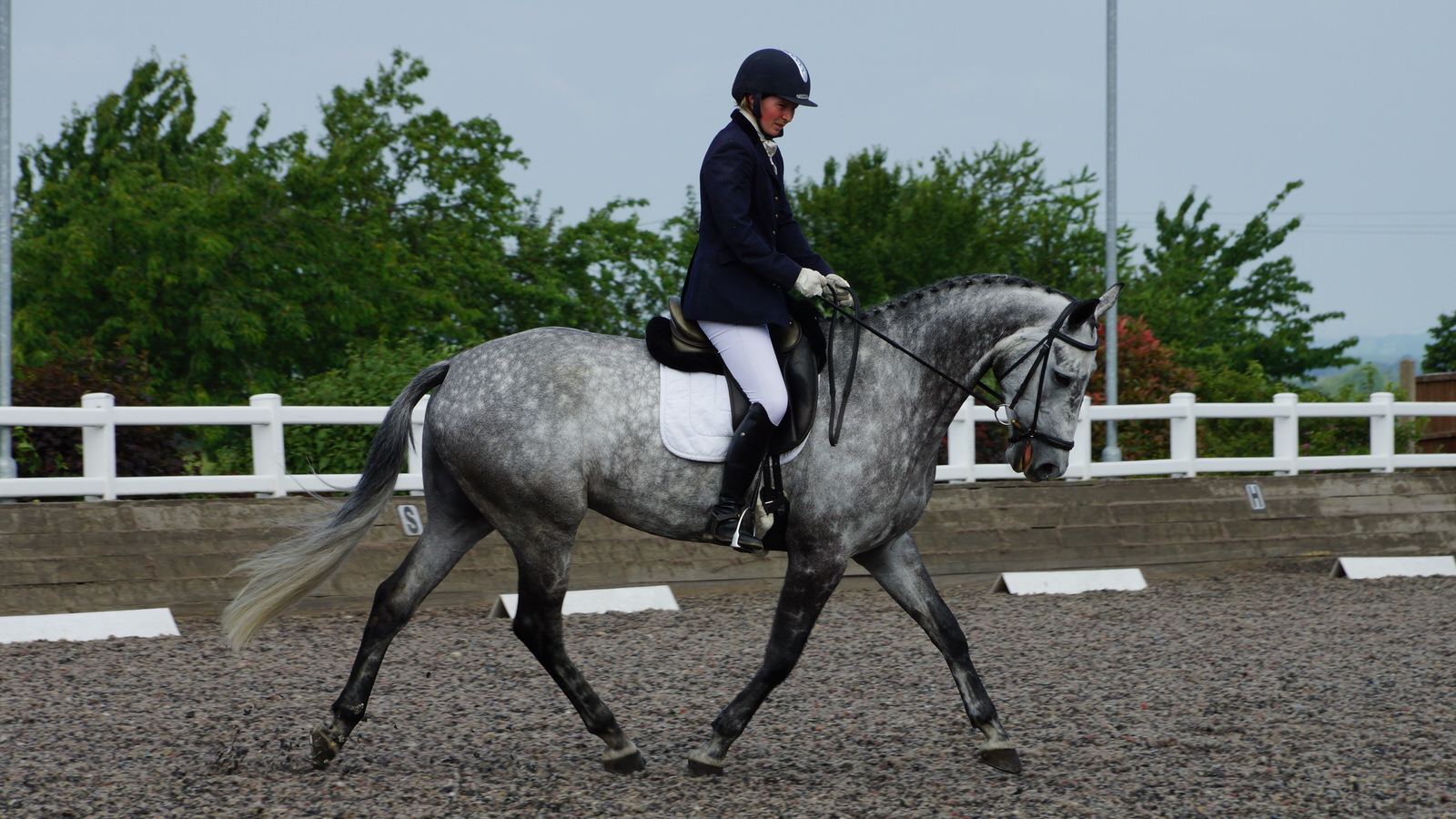 Dressage outdoors