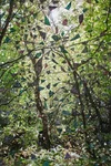 PTMW2, Sarah Anne Johnson