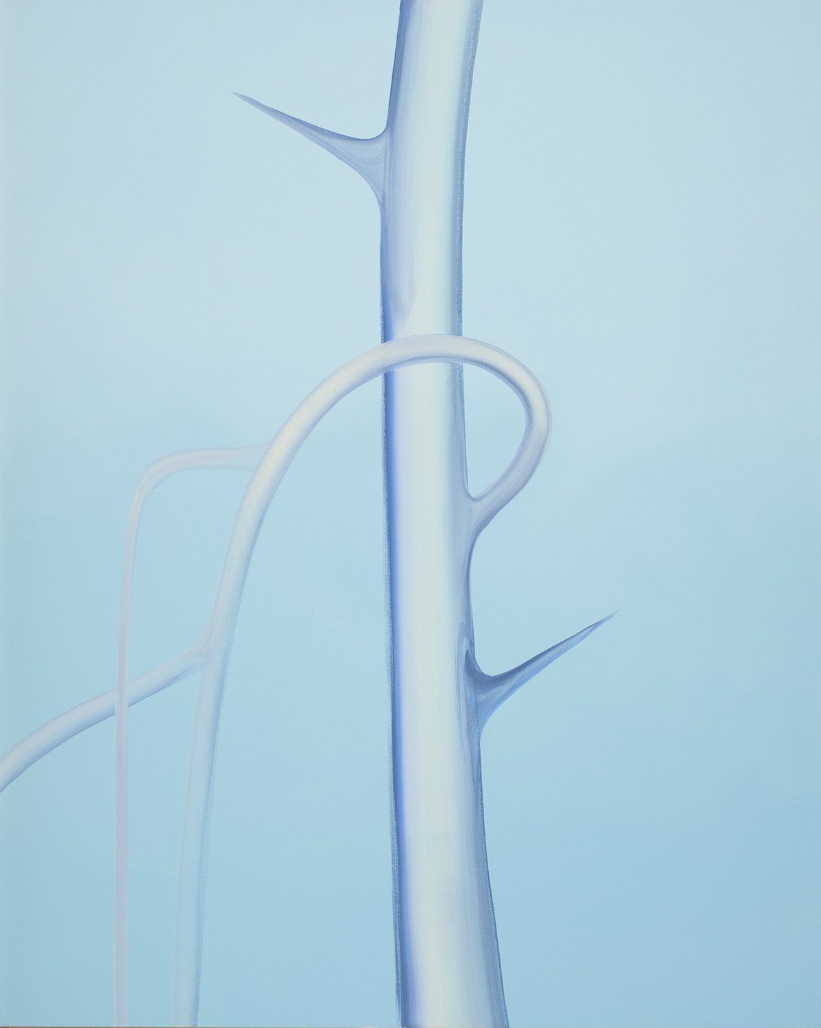 Ghost Tree Thorn - Blue, Wanda Koop