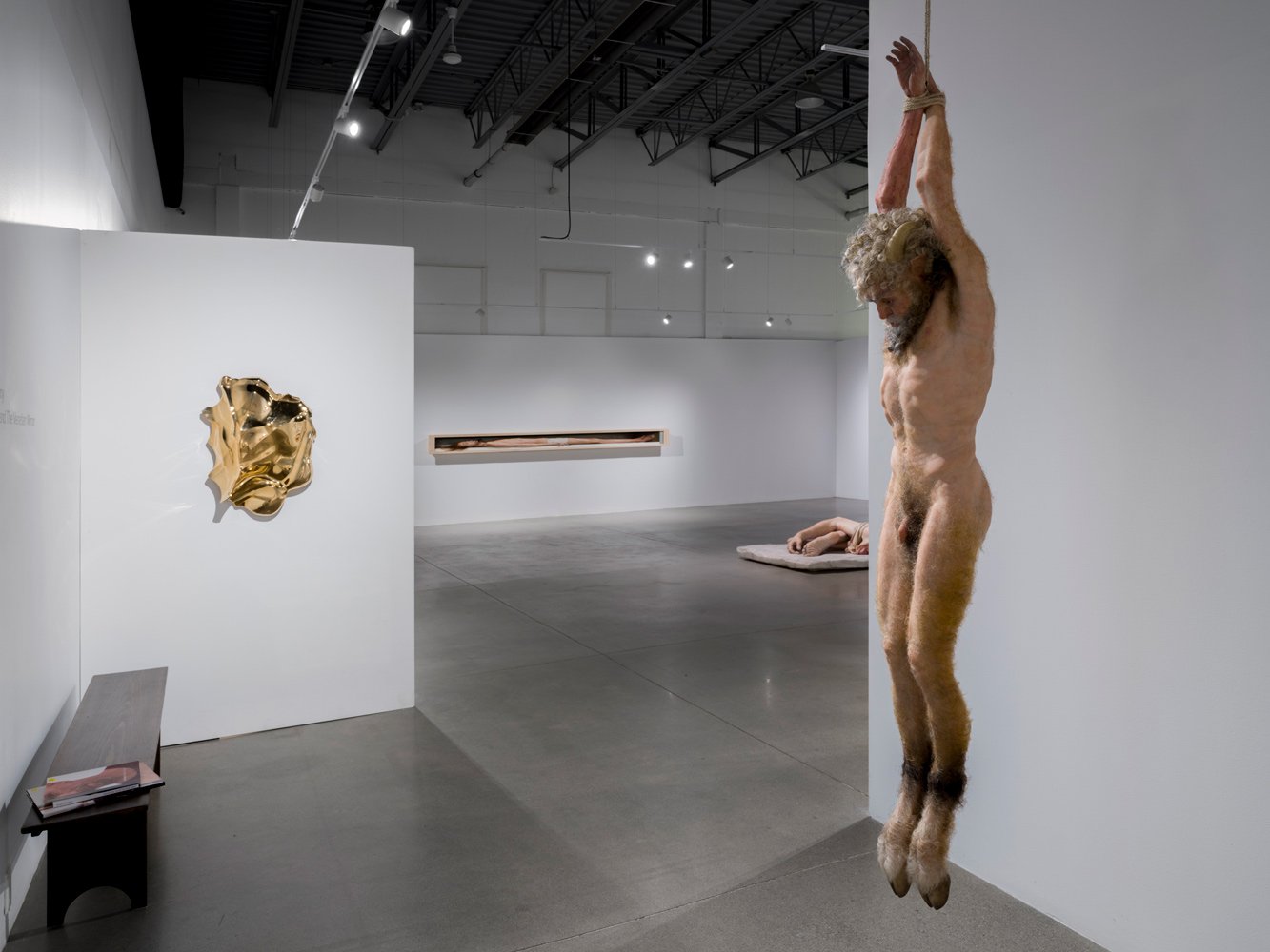Evan Penny - Marsyas and the Venetian Mirror Vue d'installation / Installation View