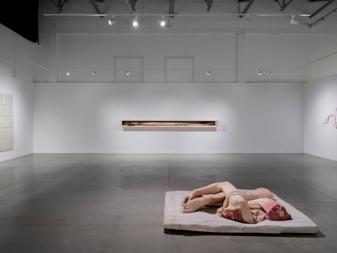 Evan Penny - Marsyas and the Venetian Mirror Vue d'installation / Installation View