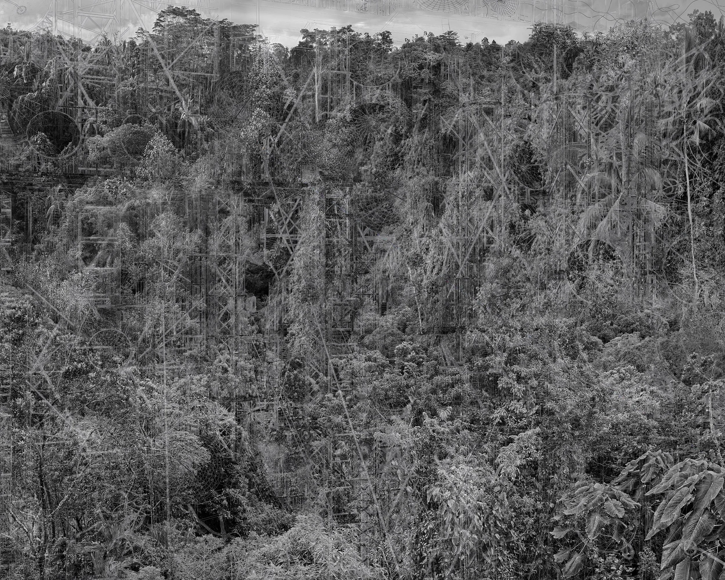 Nicolas Baier, Analogues , 2025, Impression au jet d’encre / Inkjet print, 42 x 52 1/2 in