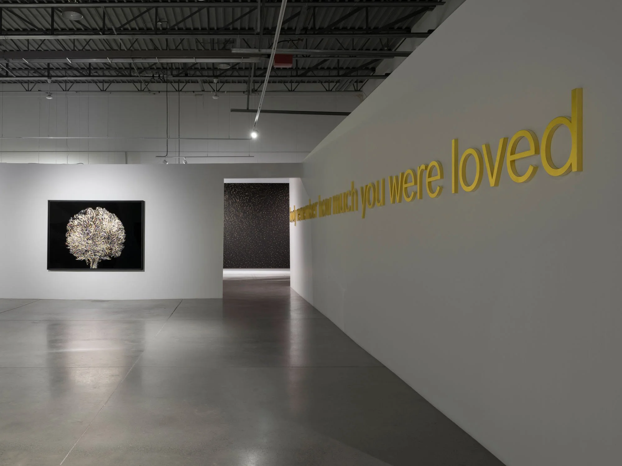   Geneviève Cadieux,   Wild is the wind,  2025. Vue d’installation/Installation view. 
