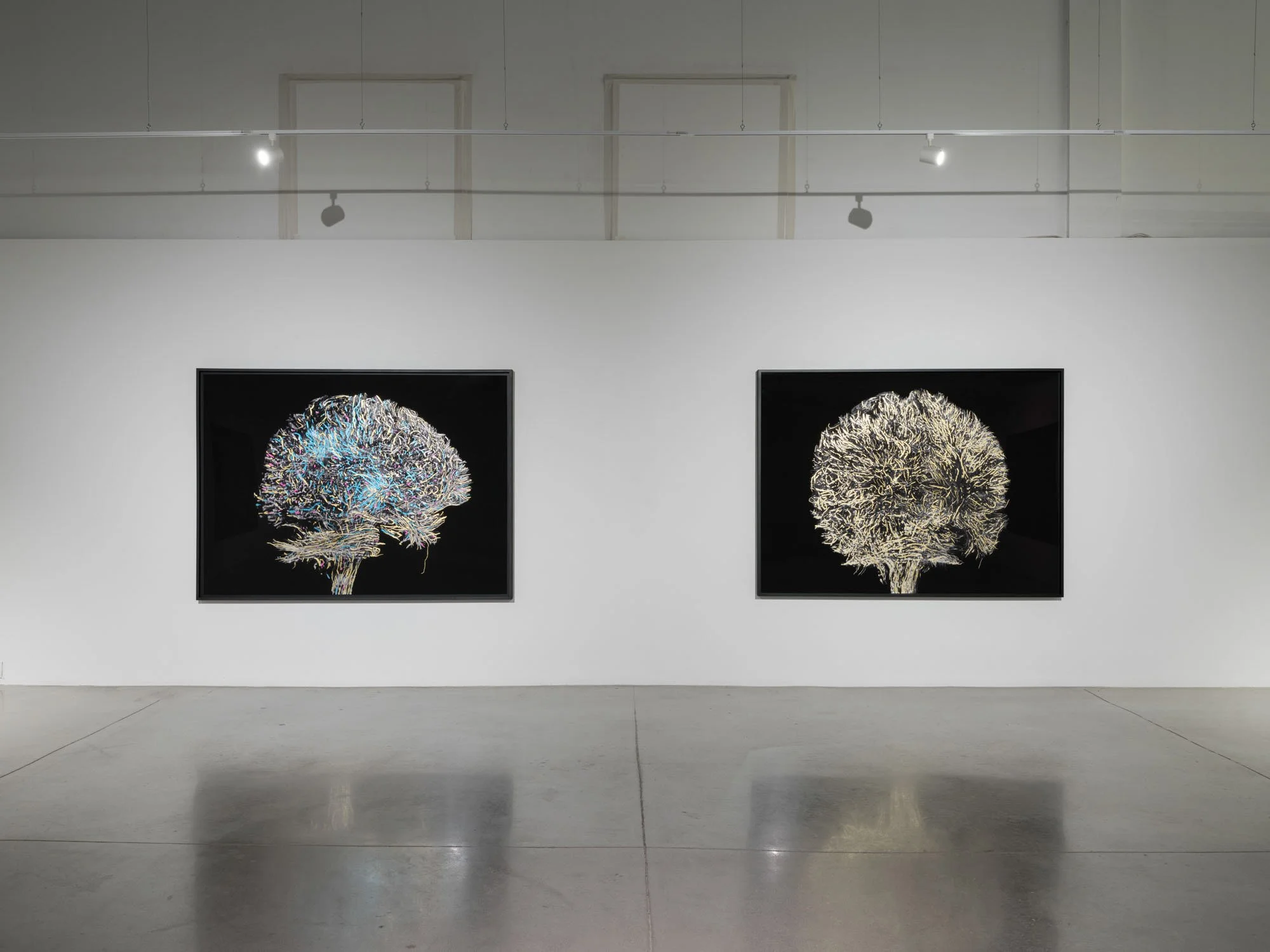   Geneviève Cadieux,   Wild is the wind,  2025. Vue d’installation/Installation view. 