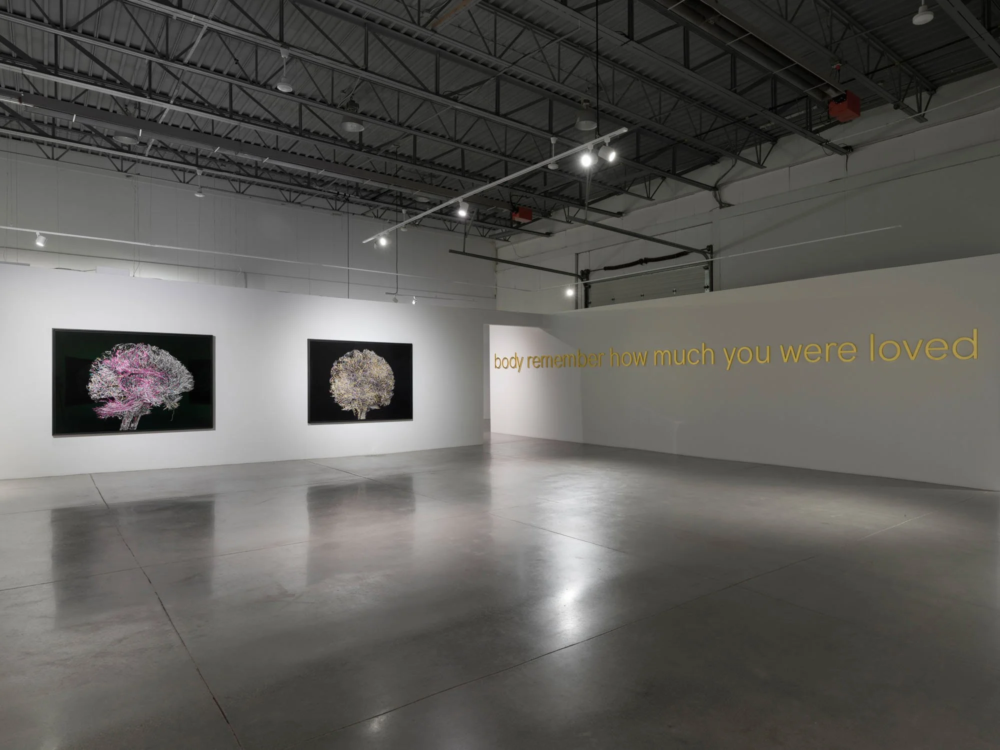   Geneviève Cadieux,   Wild is the wind,  2025. Vue d’installation/Installation view. 