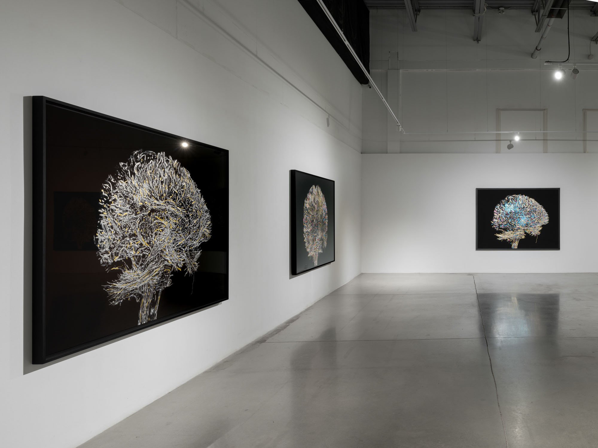   Geneviève Cadieux,   Wild is the wind,  2025. Vue d’installation/Installation view. 
