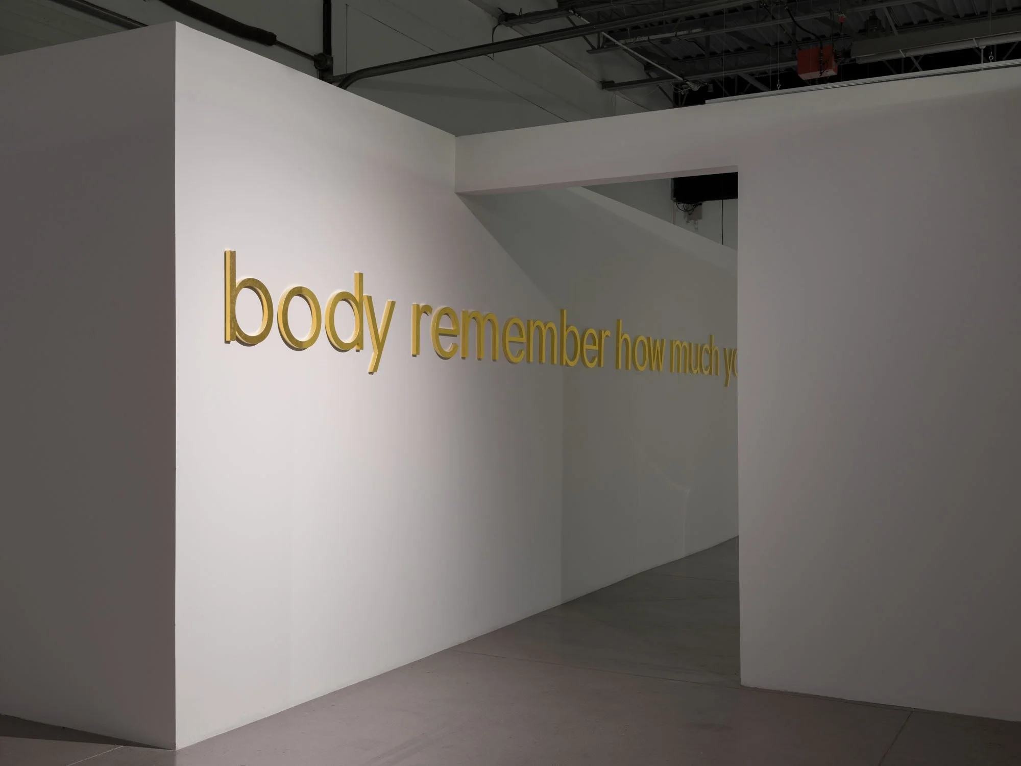   Geneviève Cadieux,   Loved body , 2025. Dimensions variables / variable dimensions 