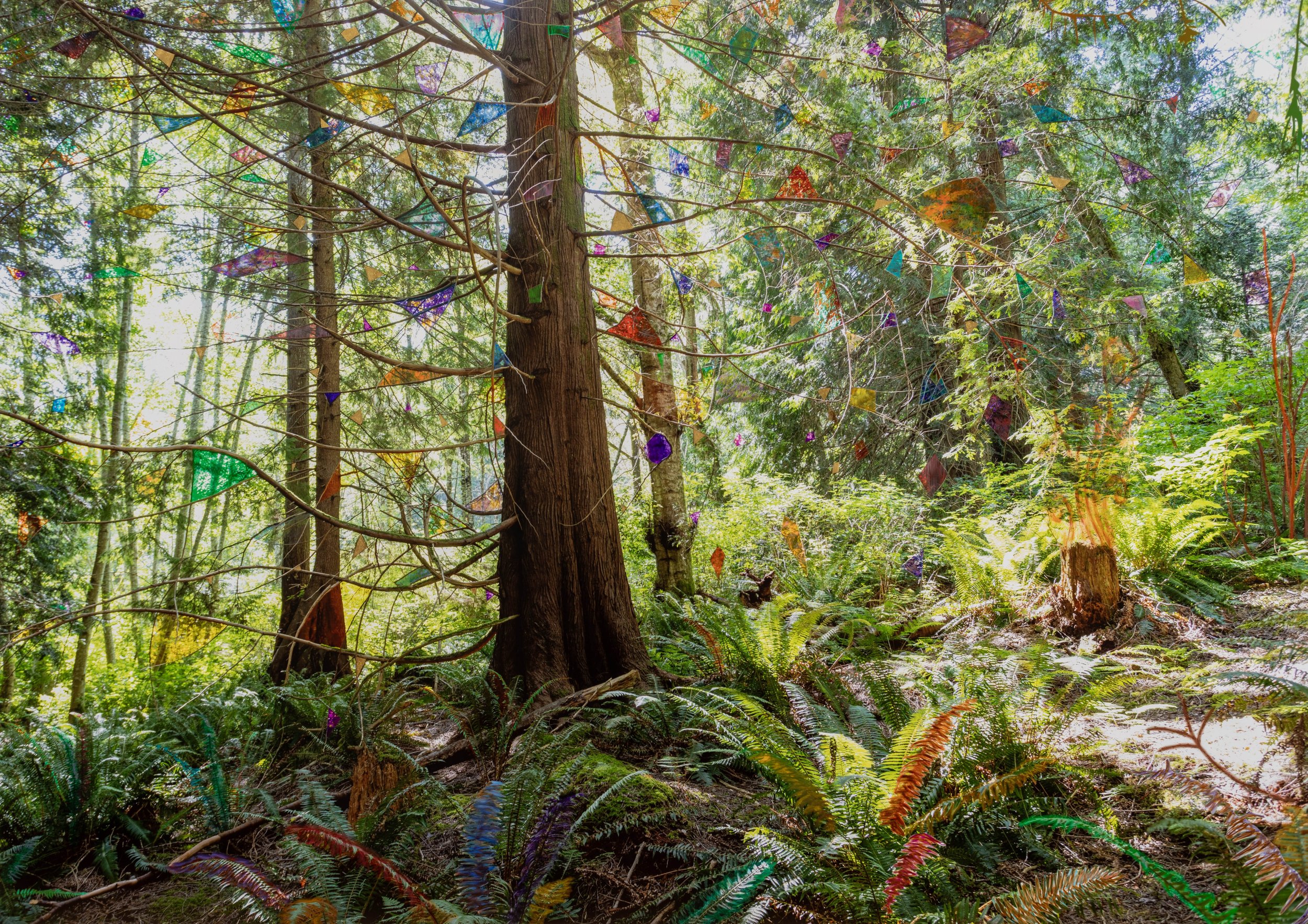 Sarah Anne Johnson 2026