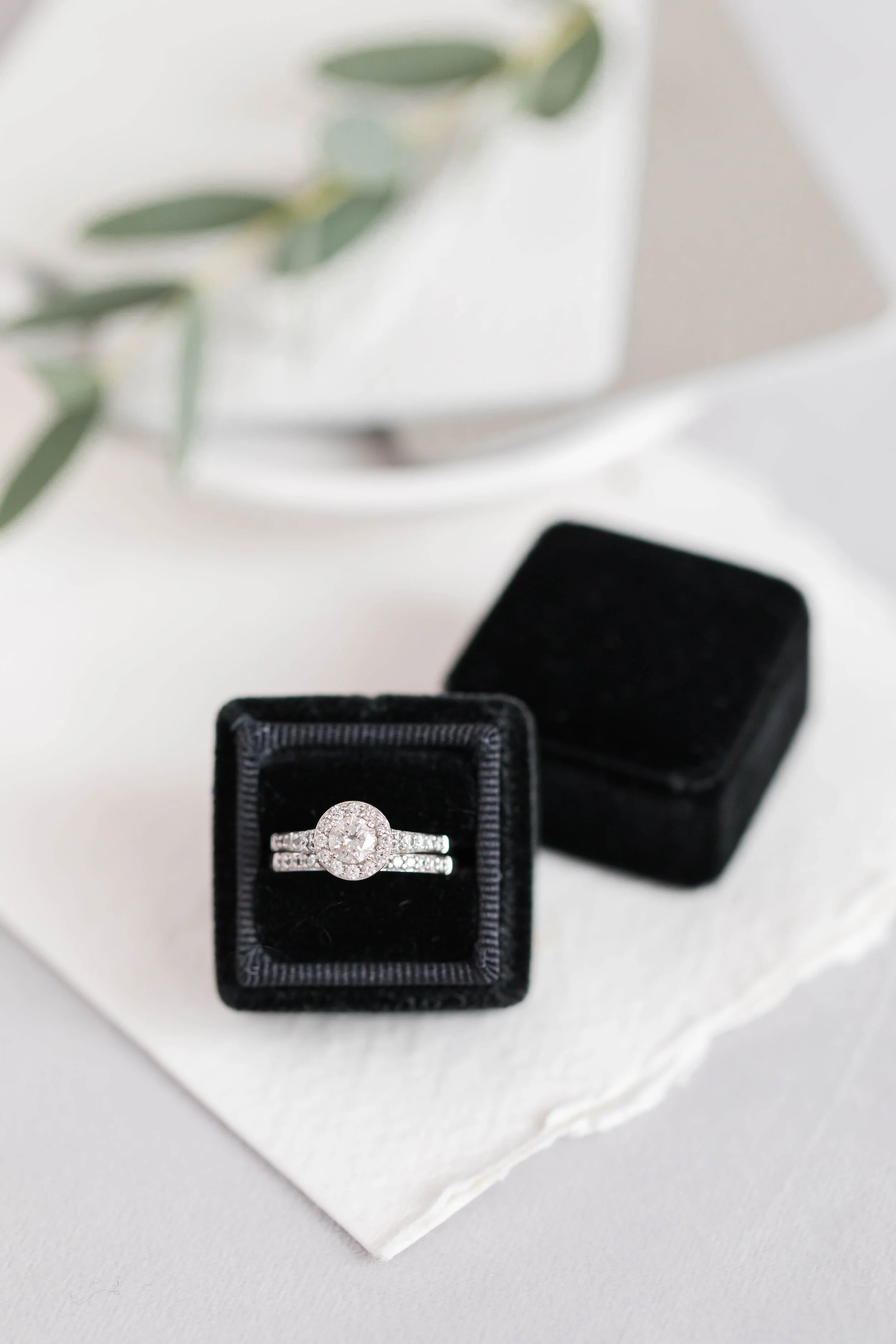 Bling Bling Collection 