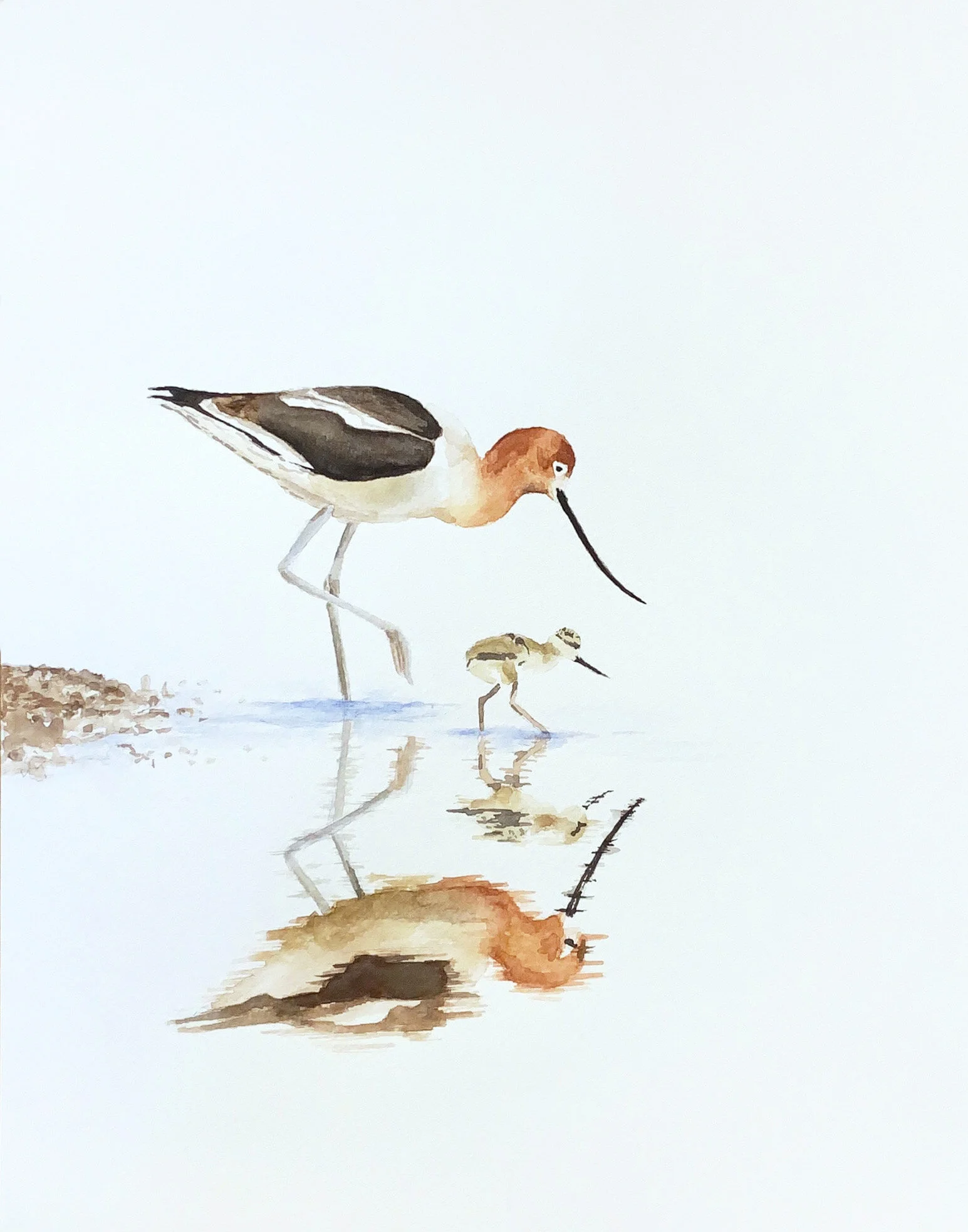 Follow Me Mom! copy.jpg