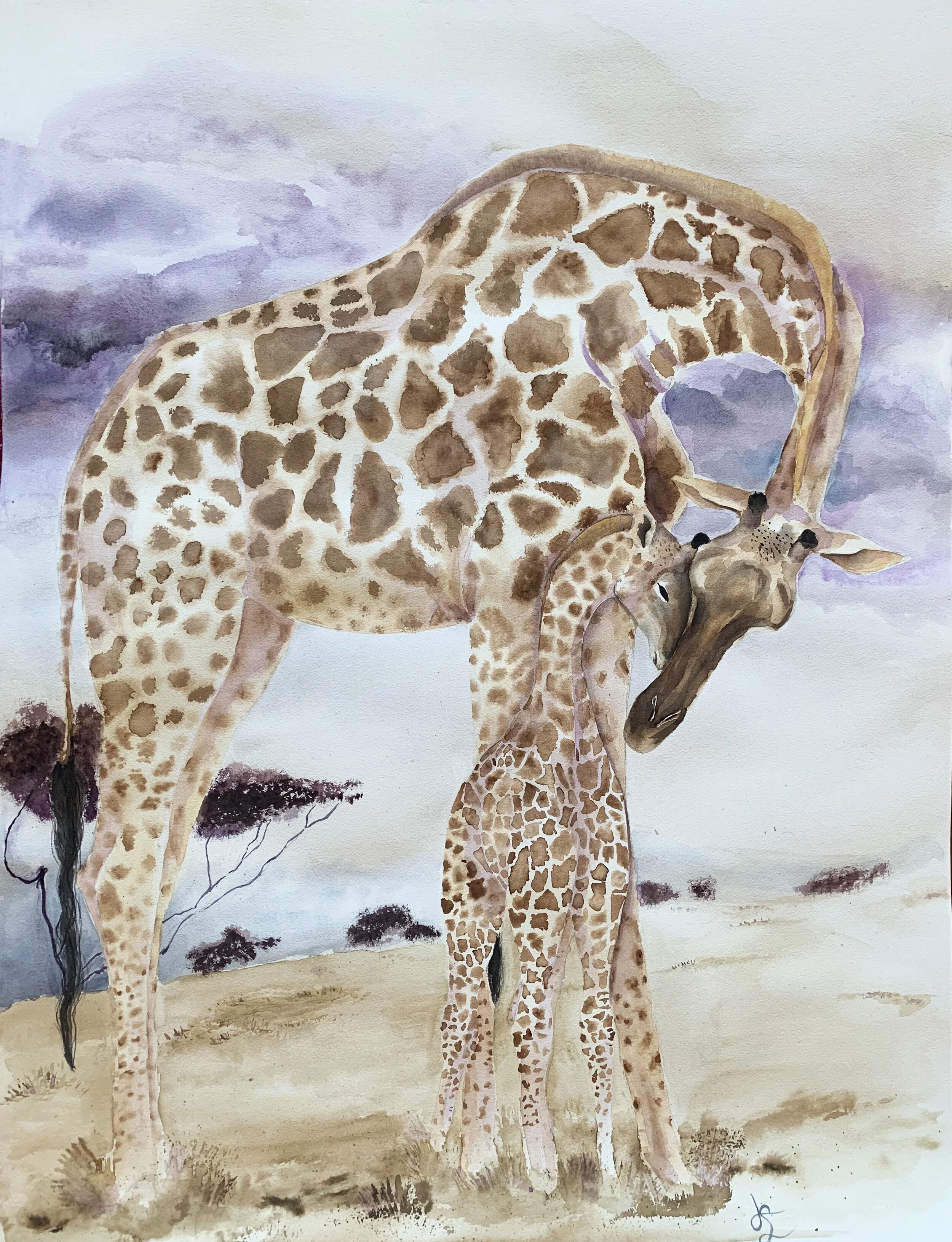 Safe Place to Stand.jpg