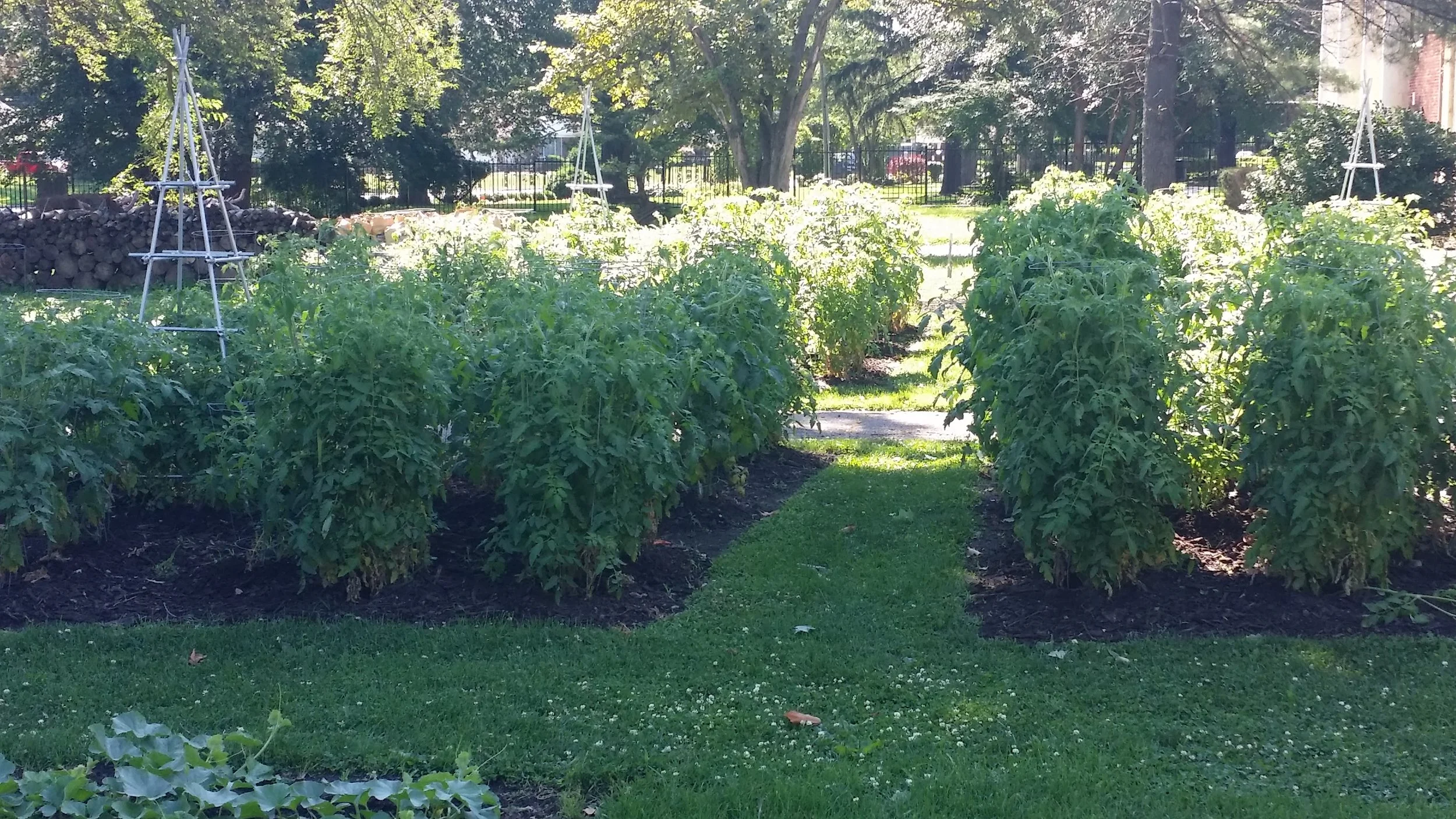 Roi Biodynamic Benchmarks