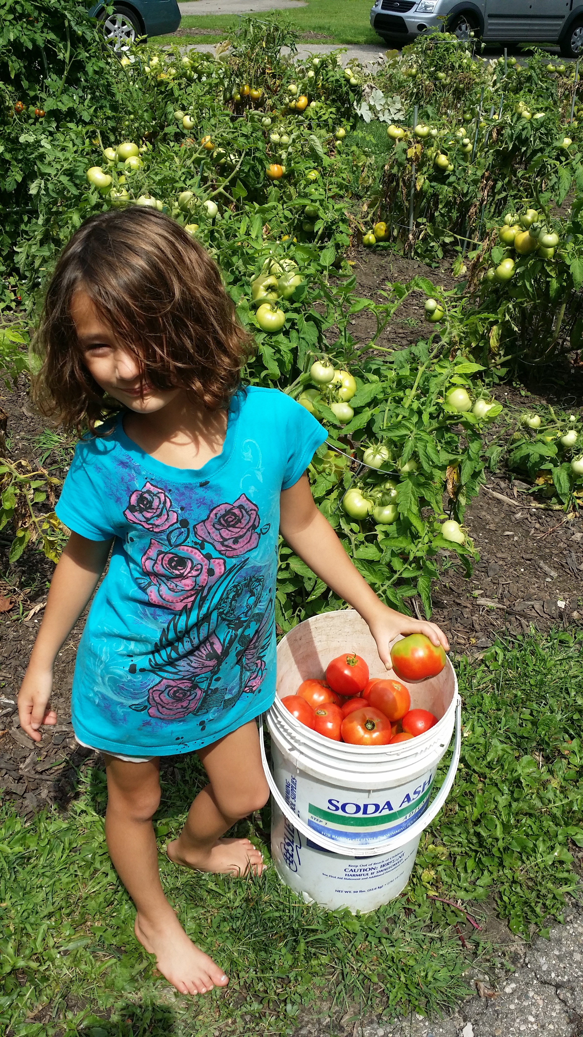 Junior Farmer loves her tomatoes! 