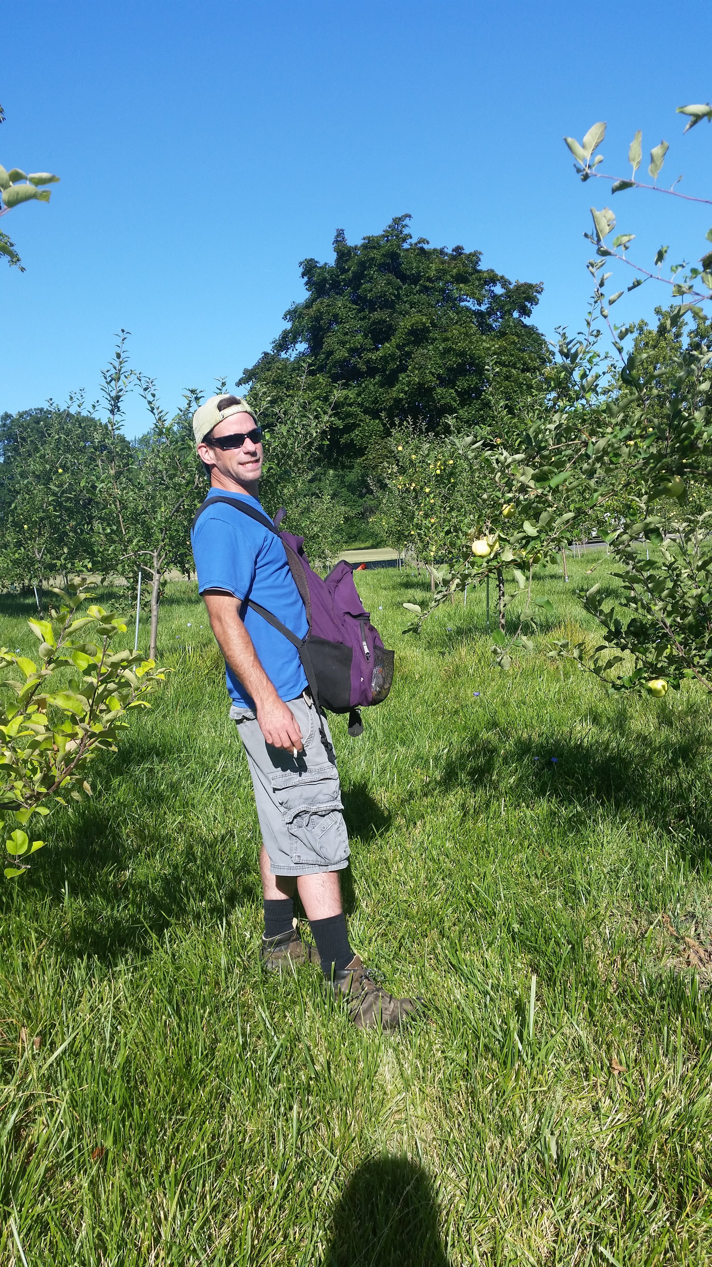  Farmer Joe picking apples! 