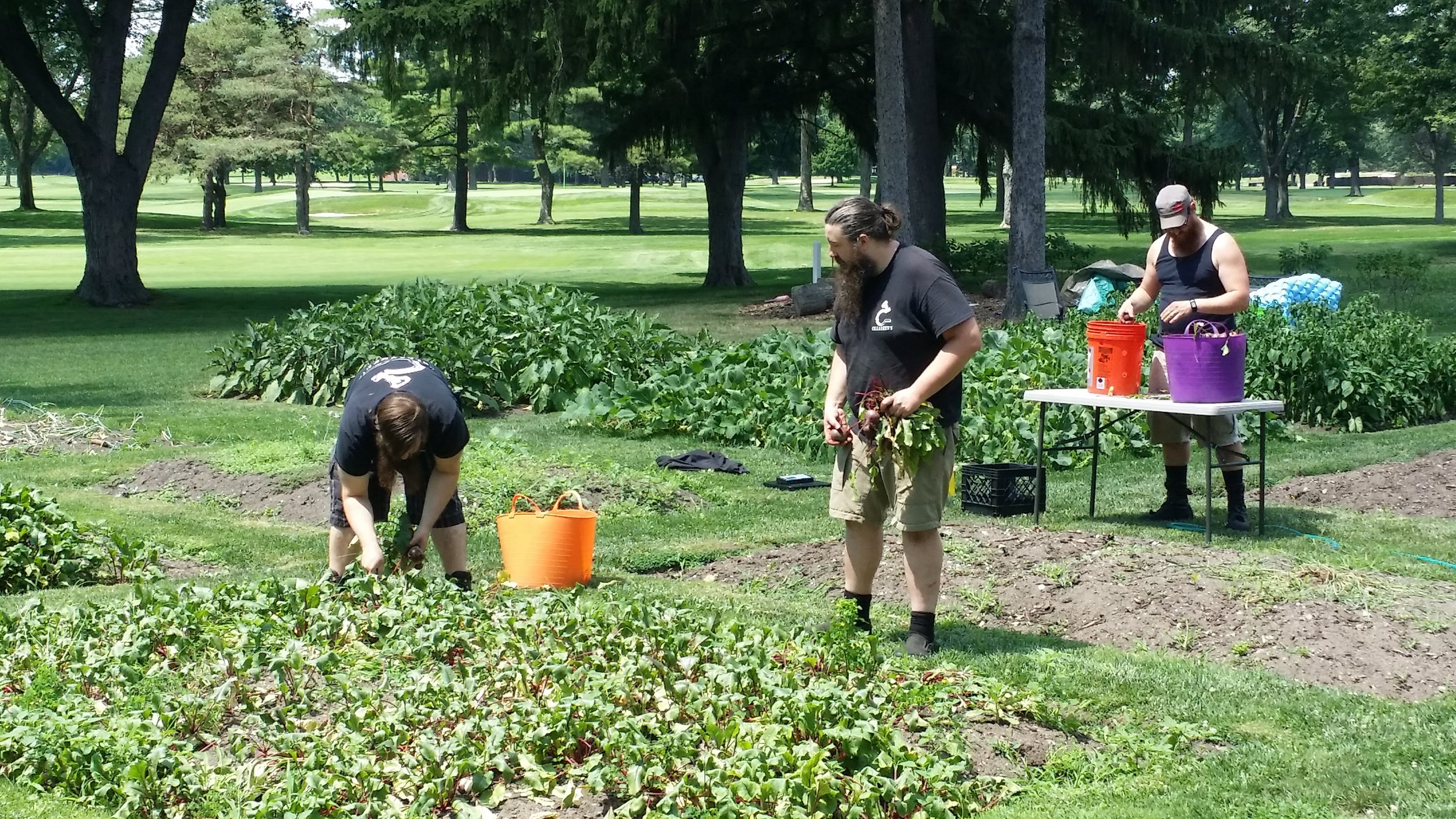  Dominic, Ian, and Andrew from Cellarmen’s Meadery helping out with the big beet harvest! 
