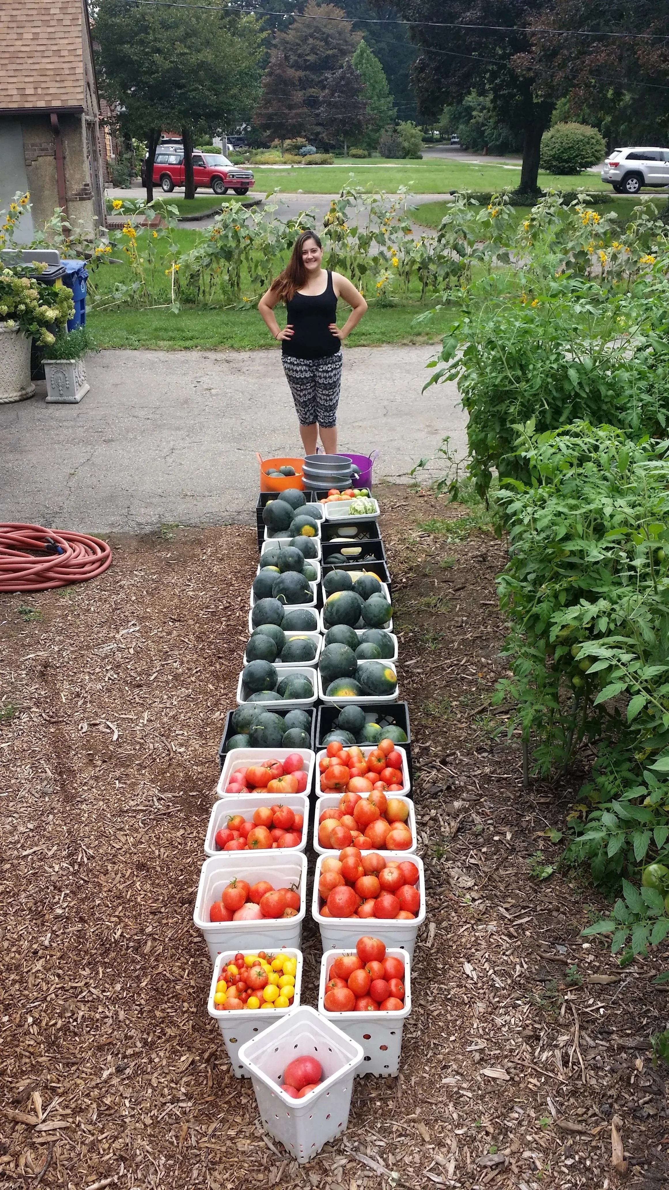  Farmer Andrea finishes a big order or melons and tomatoes!  