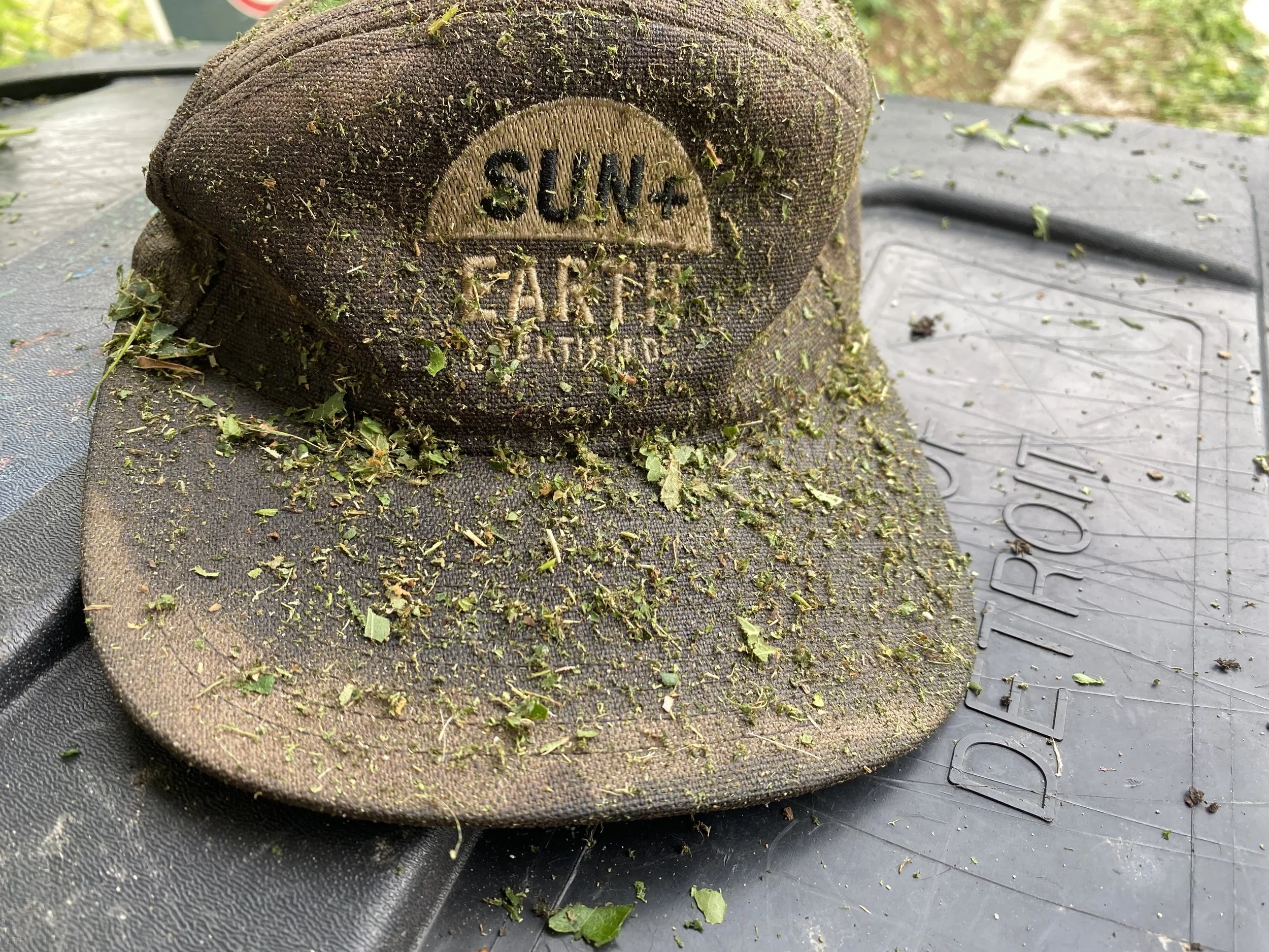 Sun and Earth Cannabis Marijuana