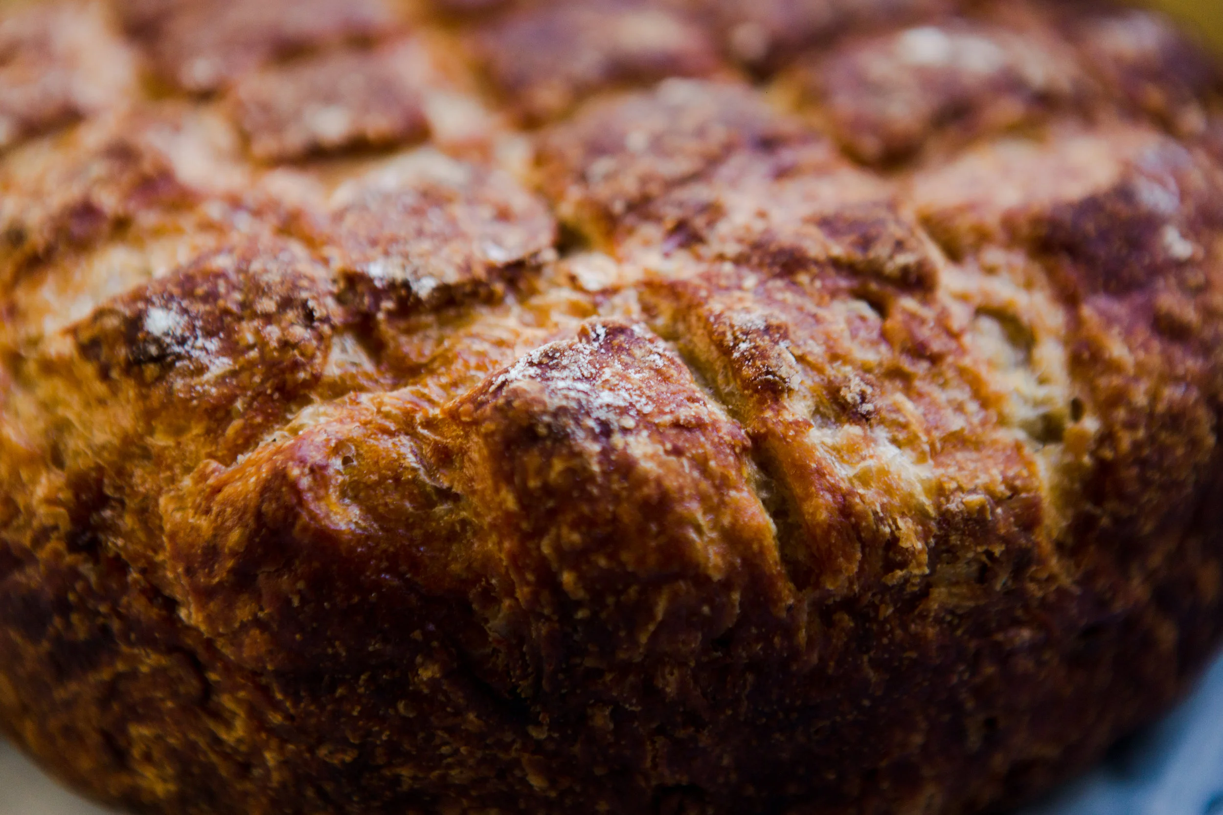oat bread texture closeup .jpg