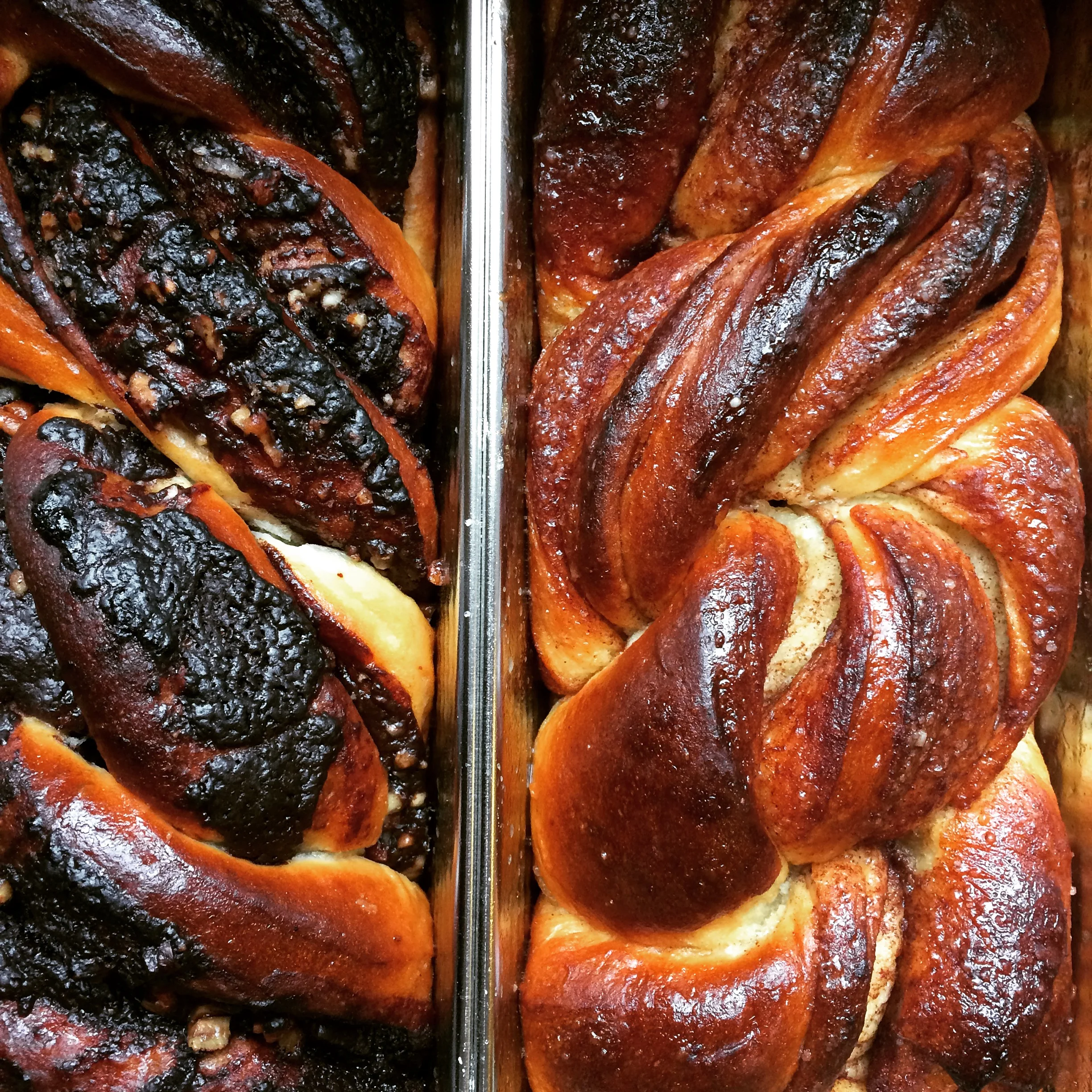 battle of the babkas photo.jpg