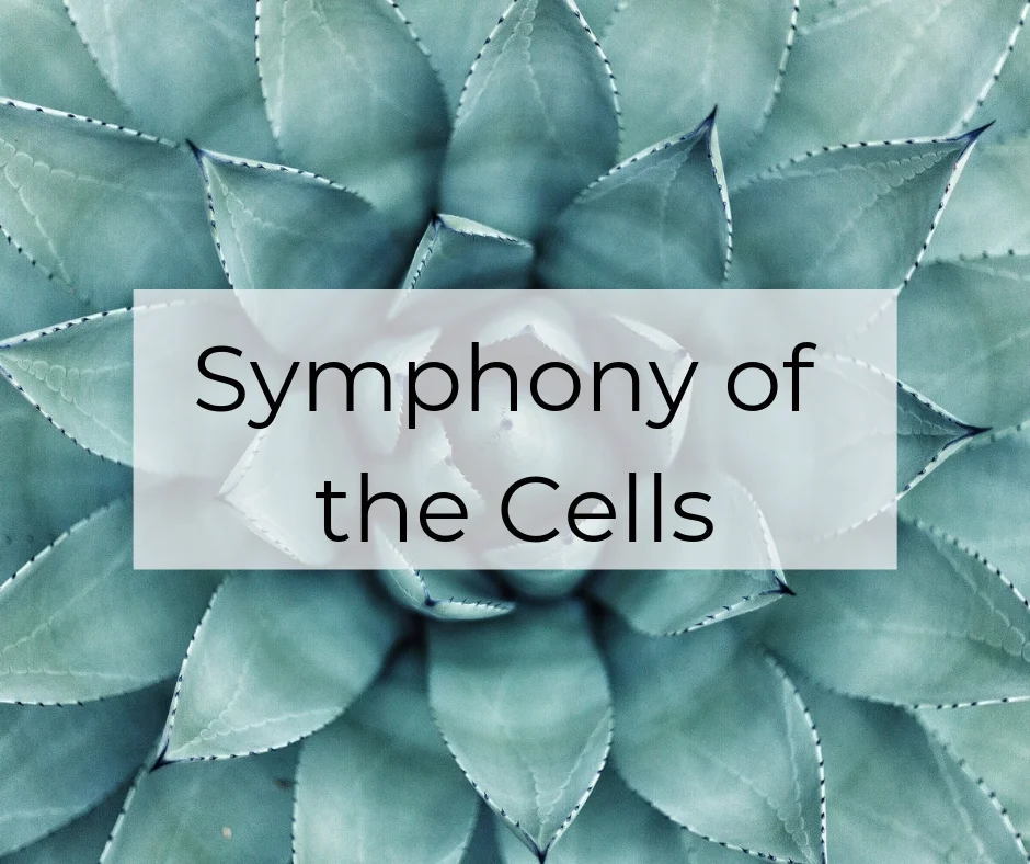 Symphony of the Cells