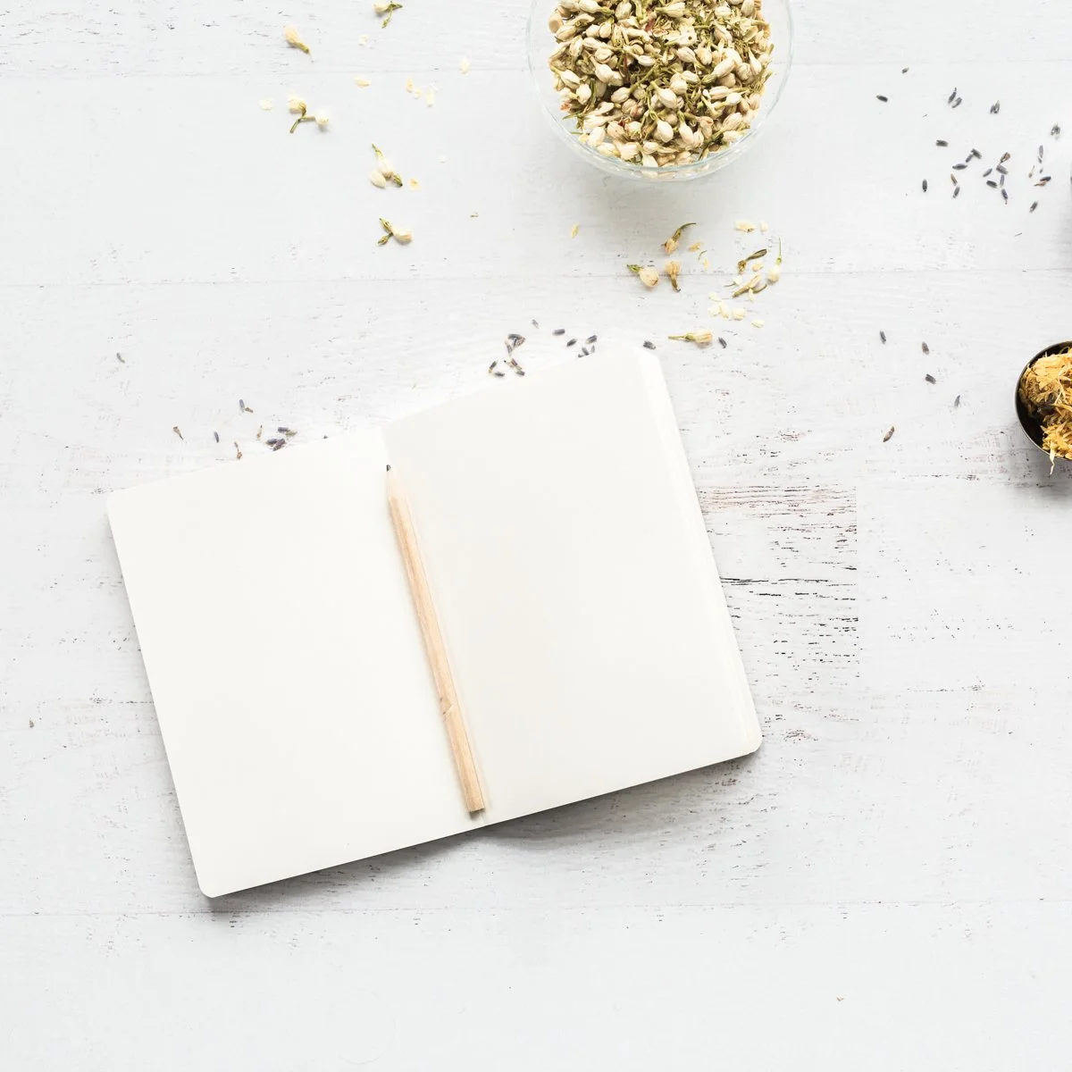 Stem Cell Activation