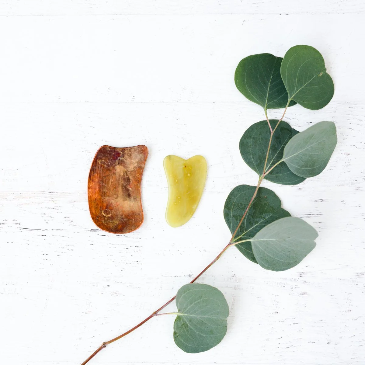 The unexpected toxicity behind top health issues