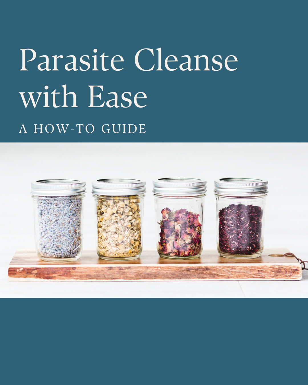 Parasite Cleanse Guide cover photo.png