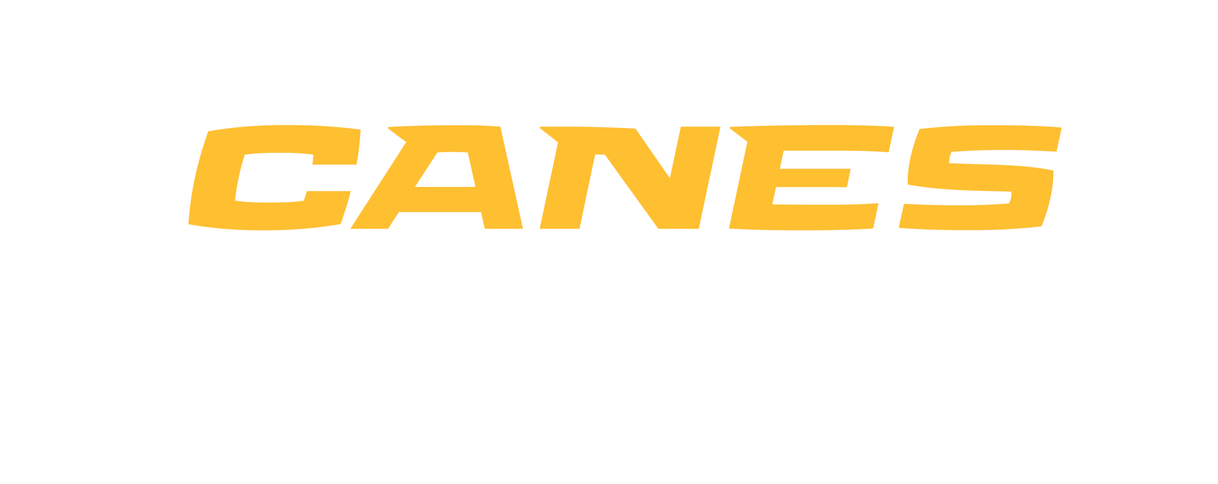 canesbaseballlogo-01.png